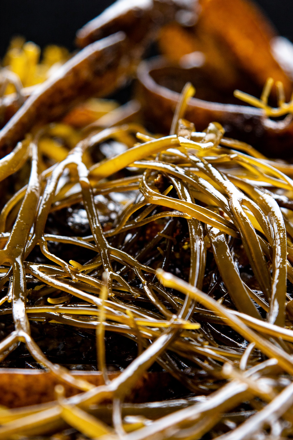 Certified Organic Wild Irish Sea Spaghetti 30g | Lab Tested