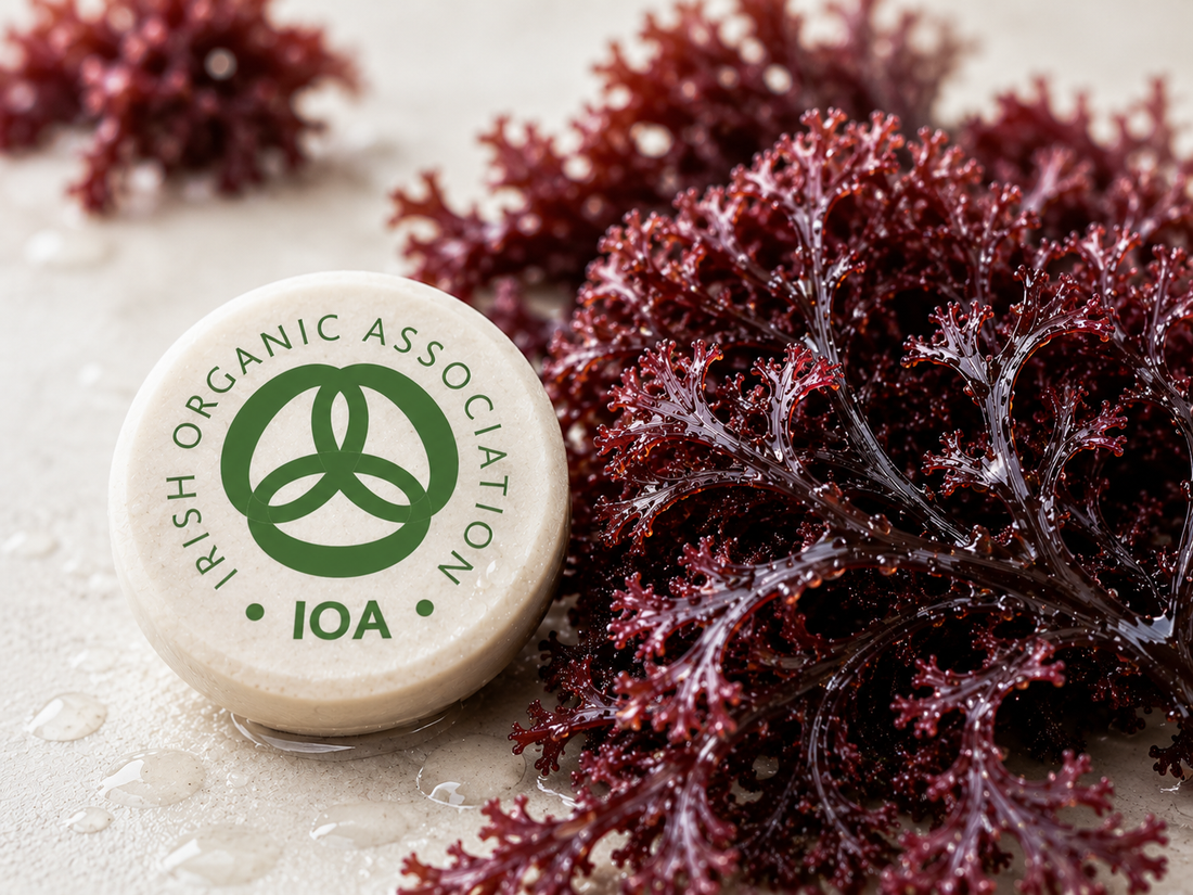 Certified Organic Wild Irish Raw Sea Moss 60g | Lab Tested