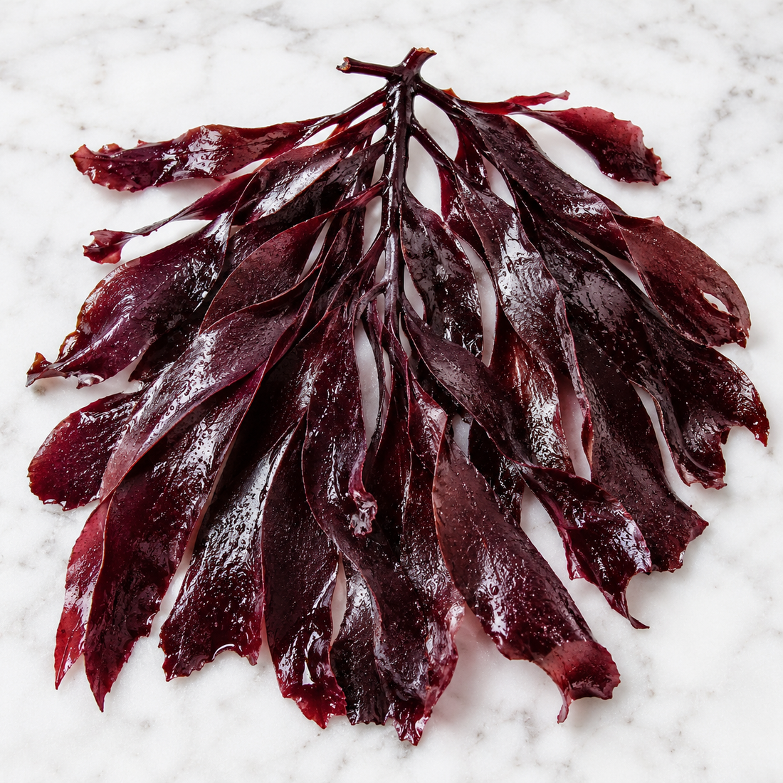 Certified Organic Wild Irish Dulse 30g | Lab Tested